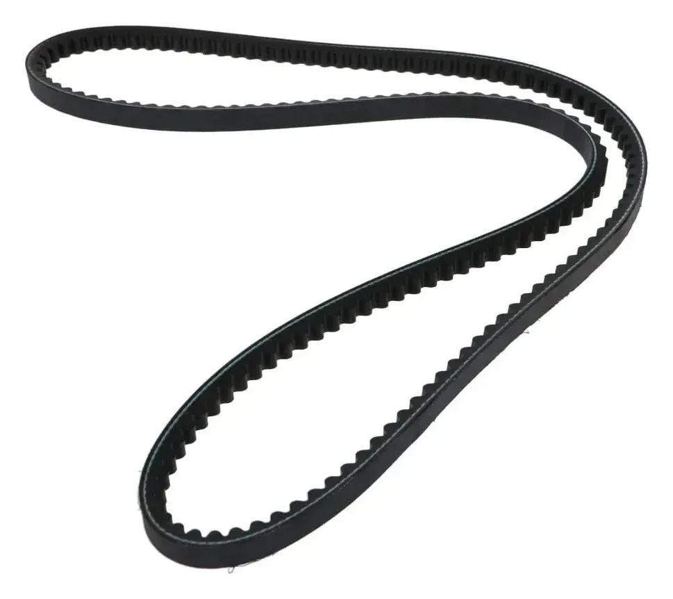 Correas: foto de referencia 1