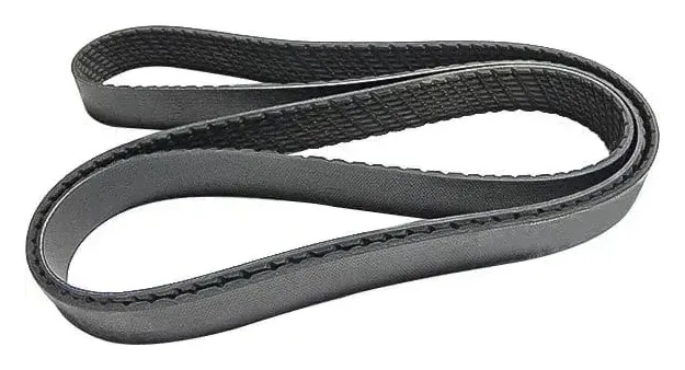 Correas: foto de referencia 2